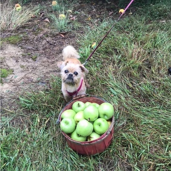 Meet your Posher, Jennifer - Picture 6 of 6